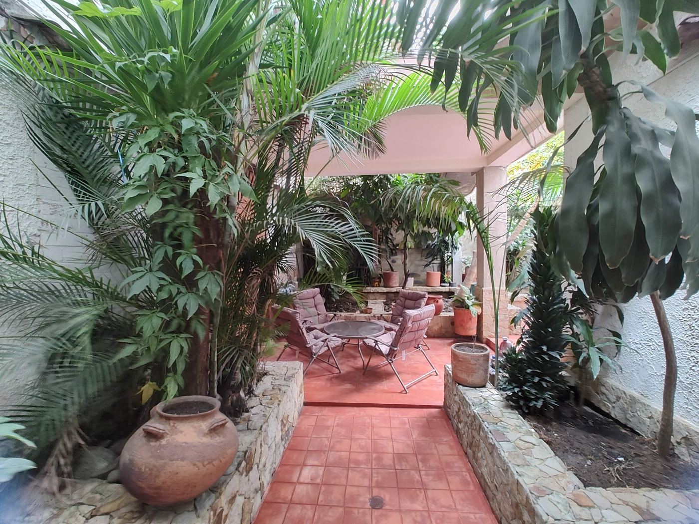 Jardín interior de Herradura House con palmas, plantas y sillas